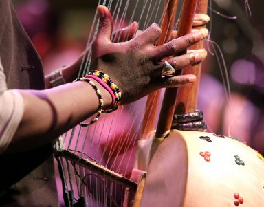 young african boy plays a stringed instrument at live concert